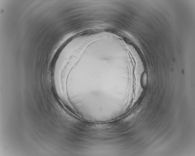 X0000071380835200607212210