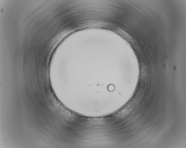 X0000071380836200607212210