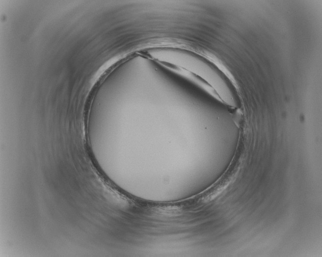 X0000071380837200607212210