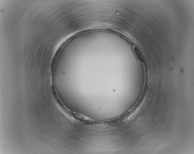 X0000071380838200607212210