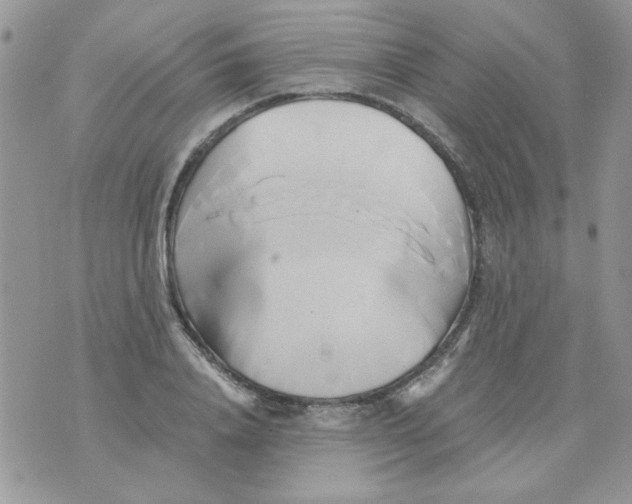 X0000071380840200607212210