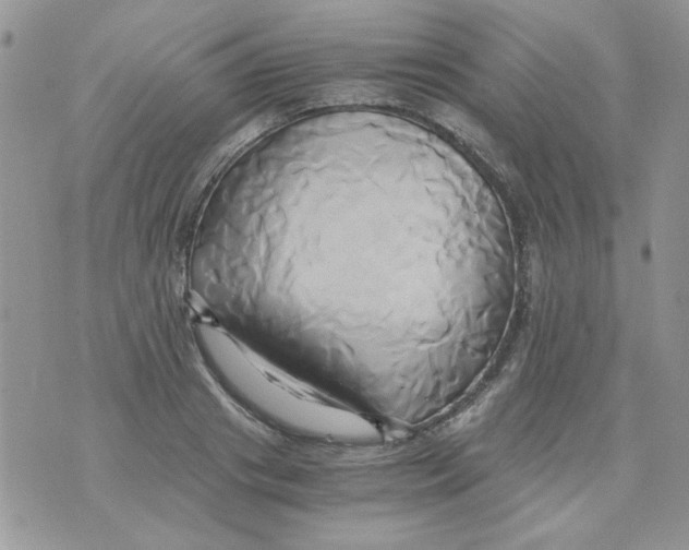 X0000071380841200607212210