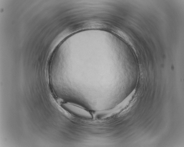 X0000071380843200607212210