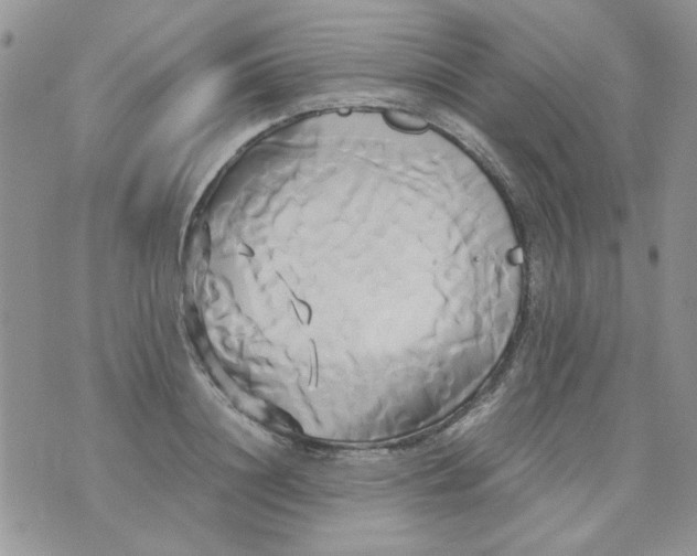 X0000071380844200607212210