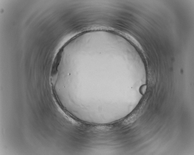 X0000071380847200607212210