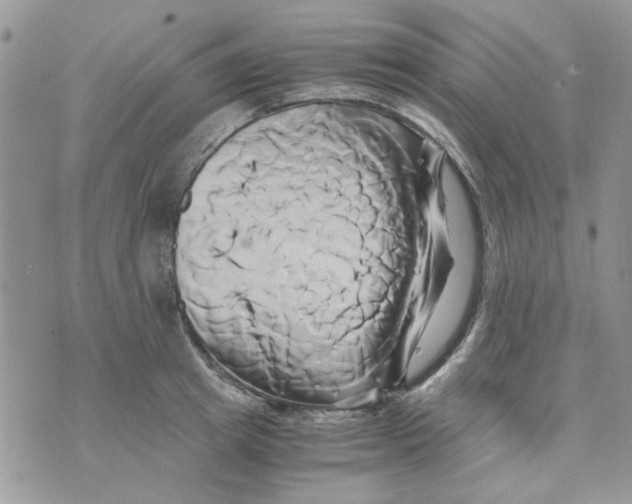 X0000071380849200607212210