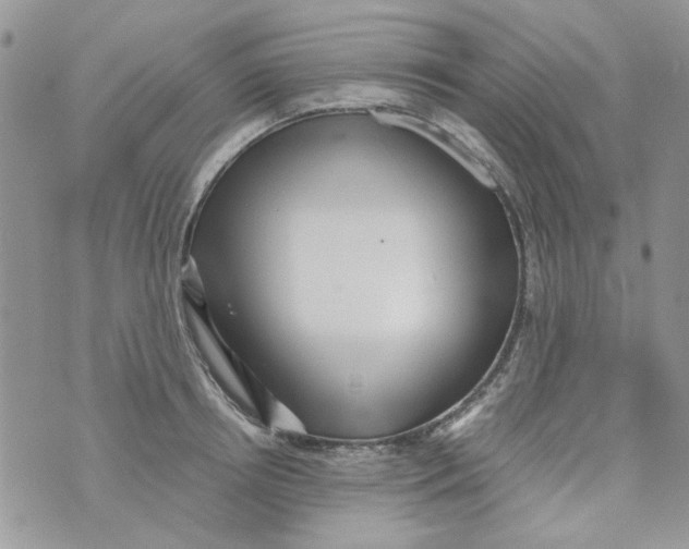 X0000071380850200607212210