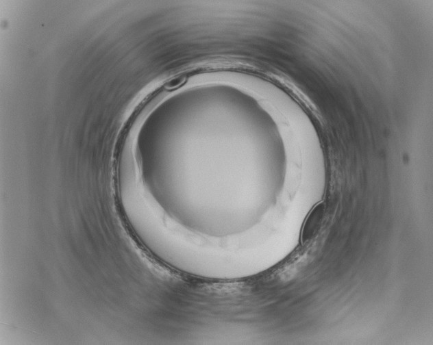 X0000071380853200607212211