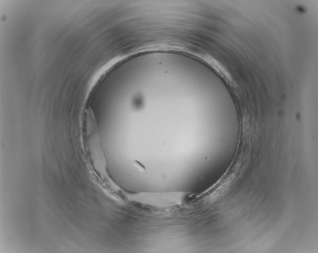 X0000071380854200607212211