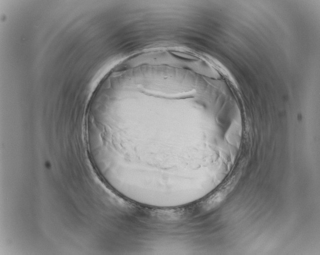 X0000071380855200607212211