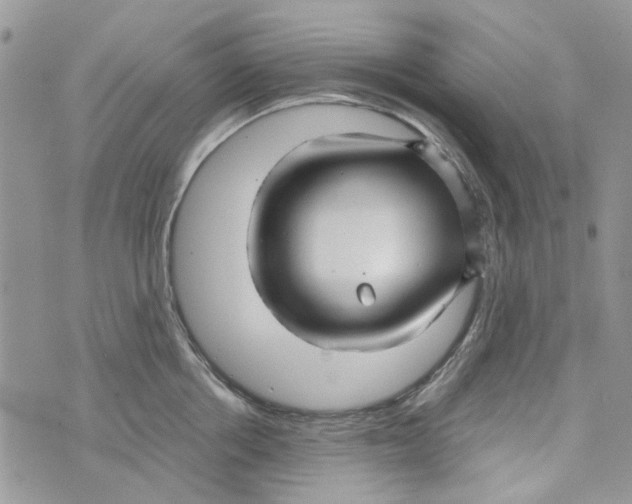 X0000071380858200607212211