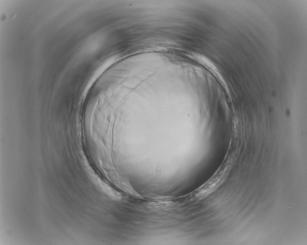 X0000071380859200607212211