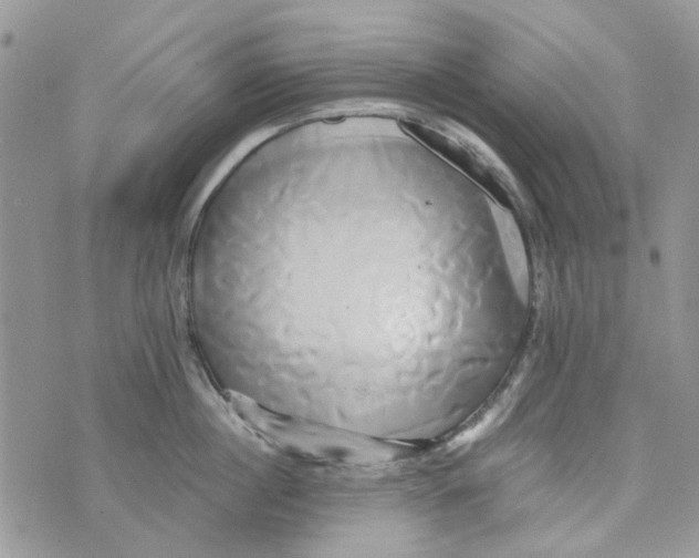 X0000071380860200607212211