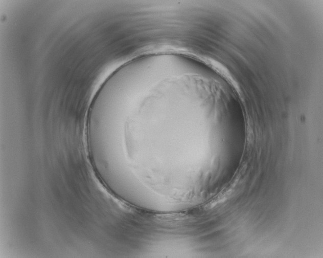 X0000071380863200607212211