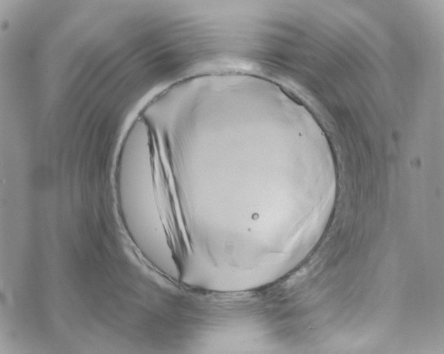 X0000071380864200607212211