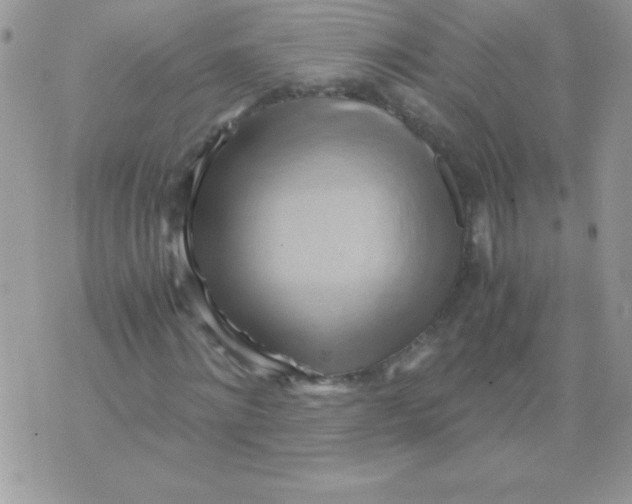 X0000071380868200607212210