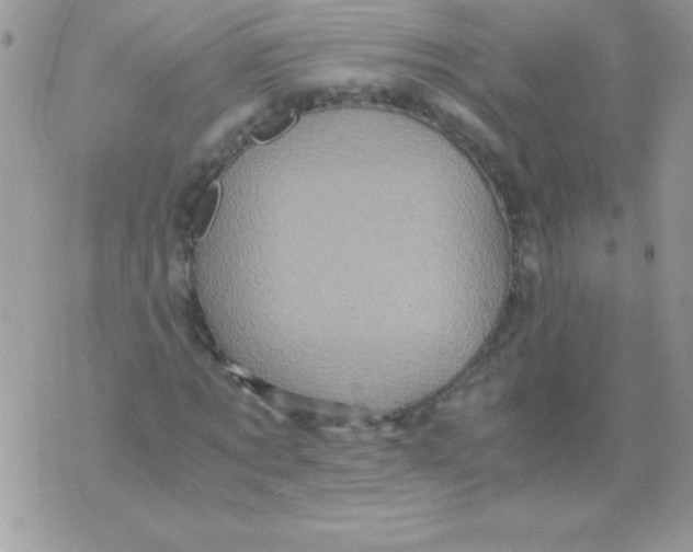 X0000071380869200607212210