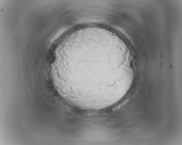 X0000071380871200607212210