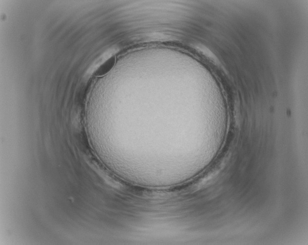 X0000071380873200607212210