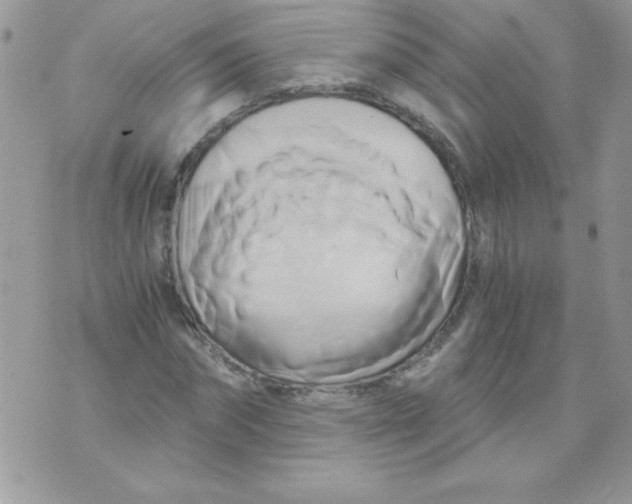 X0000071380874200607212210