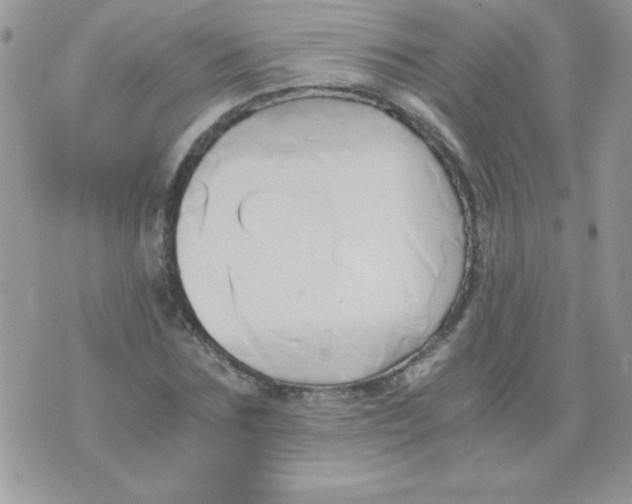 X0000071380875200607212210