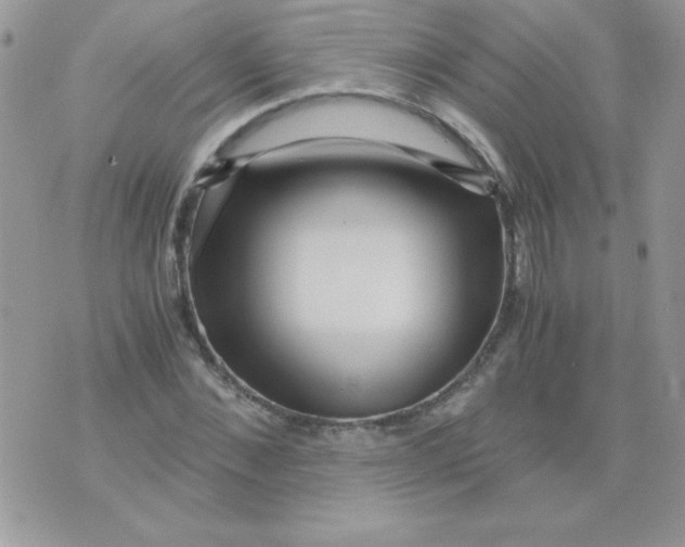 X0000071380876200607212210