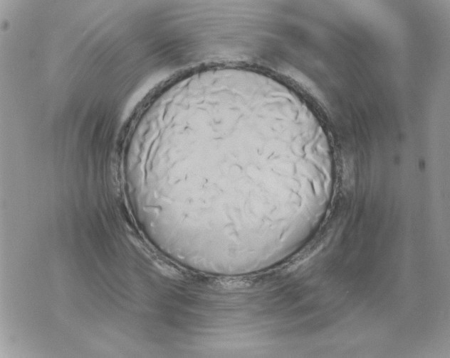 X0000071380878200607212210