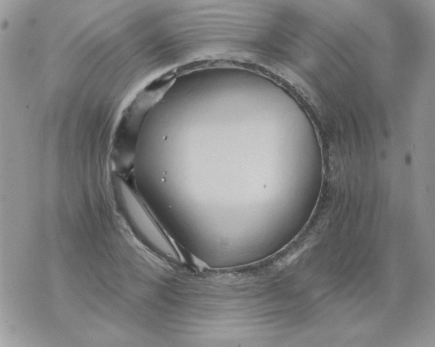 X0000071380880200607212210