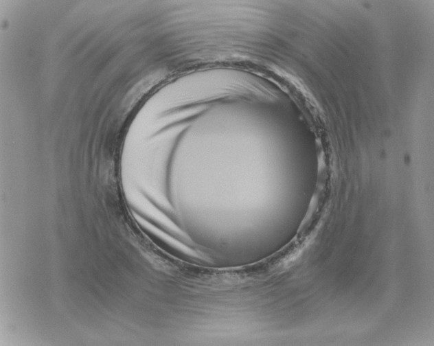 X0000071380881200607212210