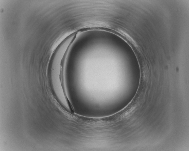 X0000071380885200607212210