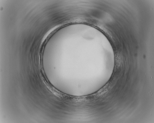 X0000071380886200607212210