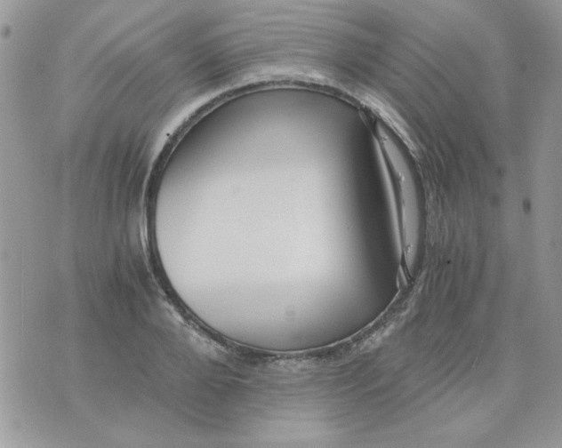 X0000071380888200607212210