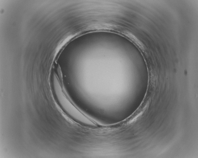 X0000071380893200607212209