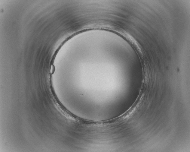 X0000071380896200607212209