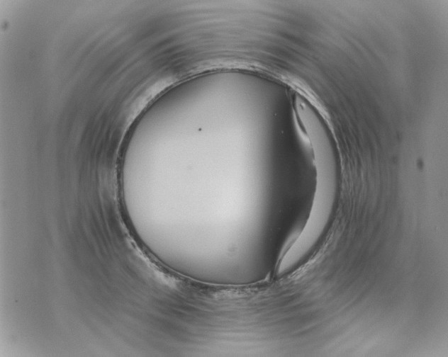 X0000071380898200607212209