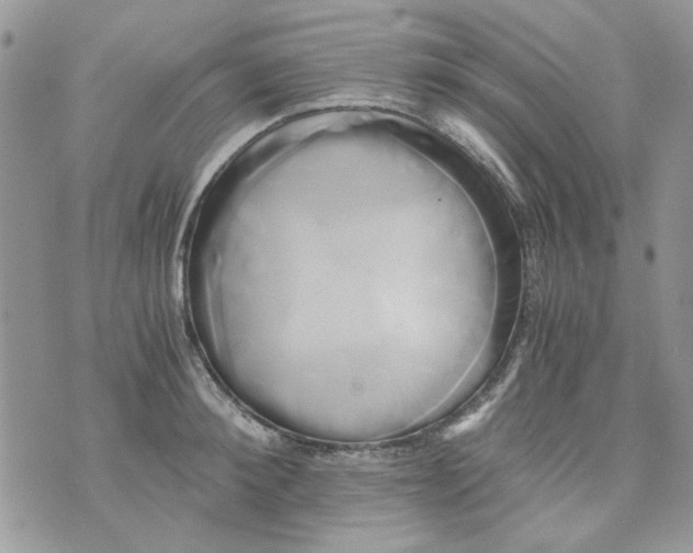 X0000071380900200607212209