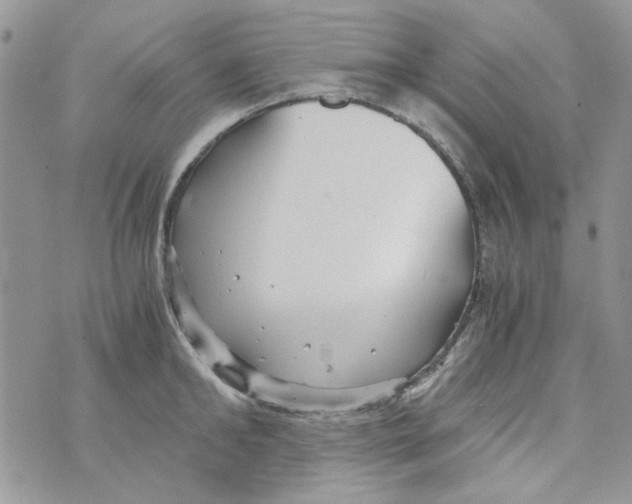 X0000071380902200607212209