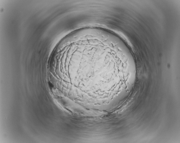 X0000071380903200607212209