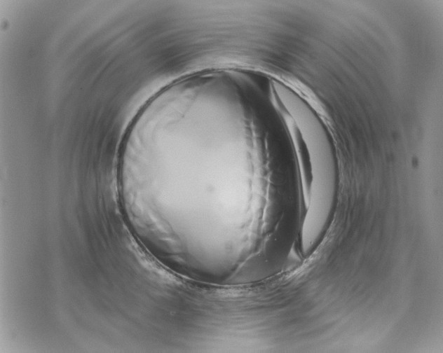 X0000071380904200607212209