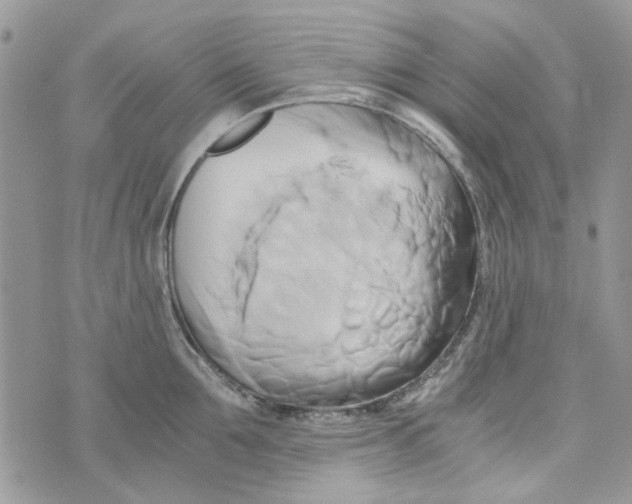 X0000071380907200607212209