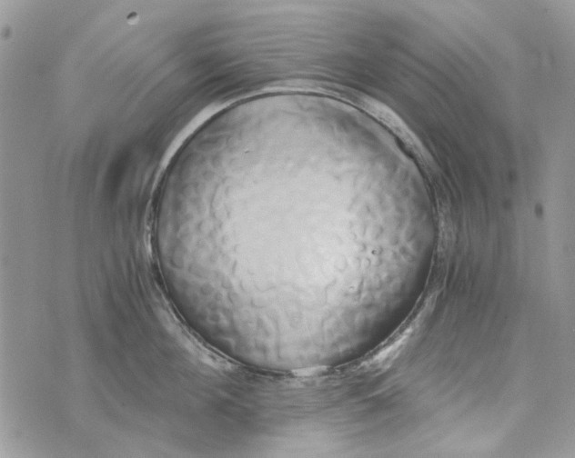 X0000071380908200607212209