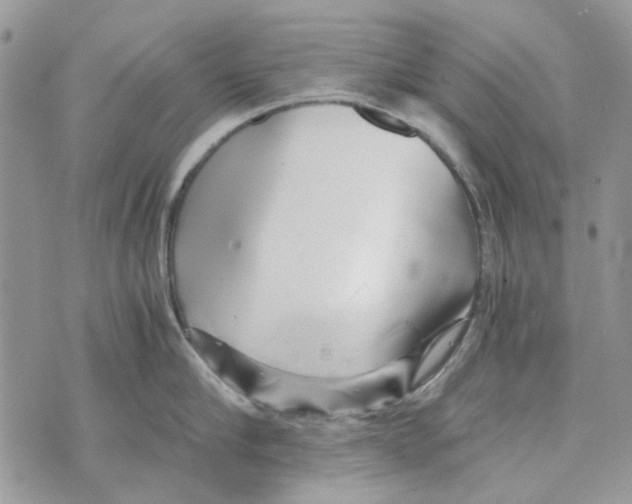 X0000071380910200607212209