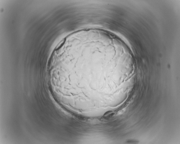 X0000071380911200607212209