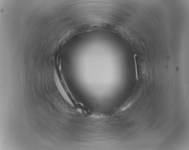 X0000071380916200607212208