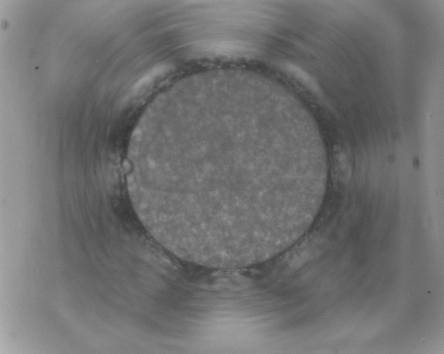 X0000071380918200607212208