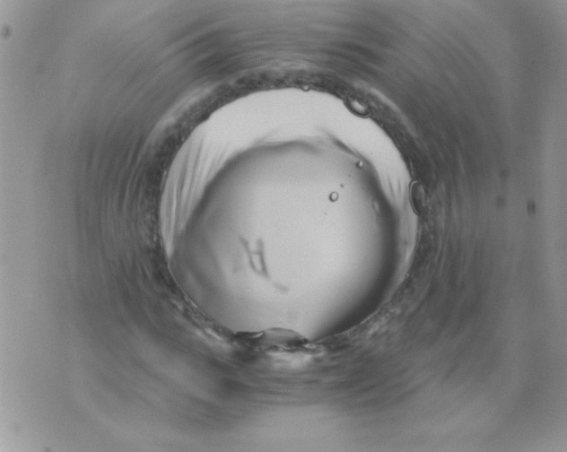 X0000071380919200607212208