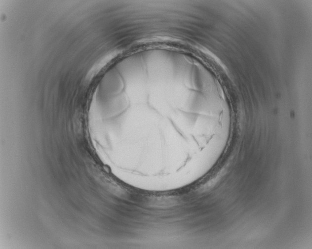 X0000071380921200607212209