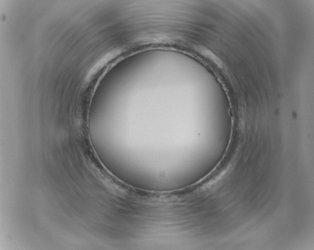 X0000071380922200607212209