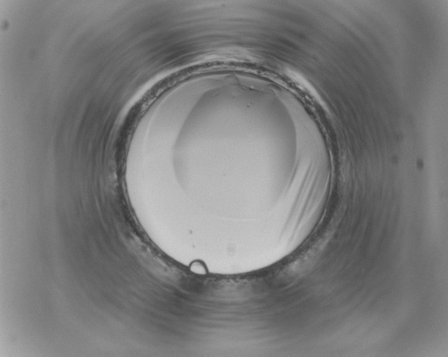 X0000071380923200607212209