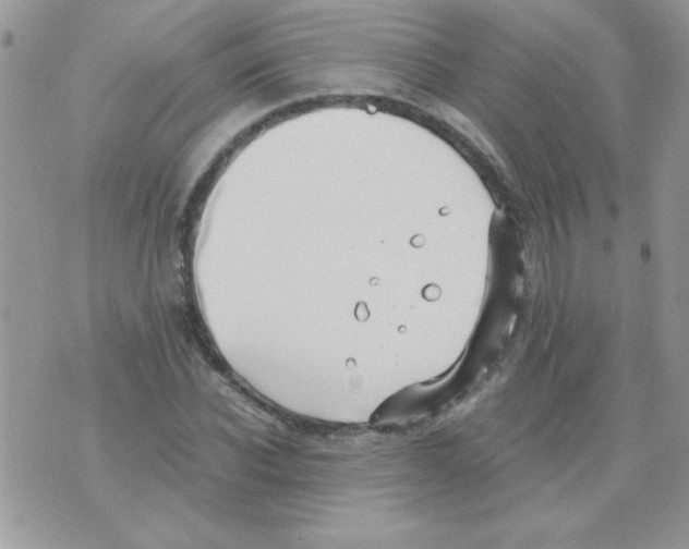 X0000071380926200607212209